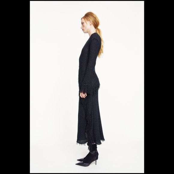 Zara Studio KNIT SHIMMERY SPARKLY DRESS LIMITED EDITION Black Silver Fringe XS - Picture 4 of 12